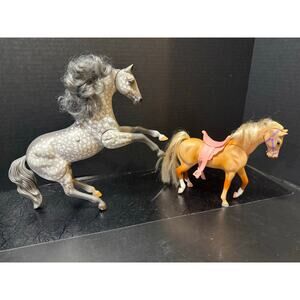 Grand Champions Horses Stallion Thunder Gray Appaloosa; Sunflower feed n nuzzle